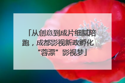 从创意到成片细腻陪跑，成都影视新政孵化“蓉漂”影视梦