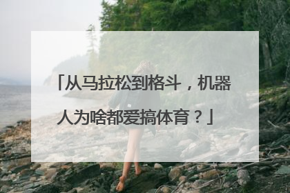 从马拉松到格斗，机器人为啥都爱搞体育？