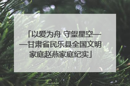 以爱为舟 守望星空——甘肃省民乐县全国文明家庭赵燕家庭纪实