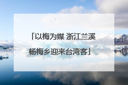 以梅为媒 浙江兰溪杨梅乡迎来台湾客