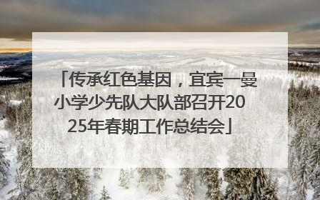 传承红色基因，宜宾一曼小学少先队大队部召开2025年春期工作总结会