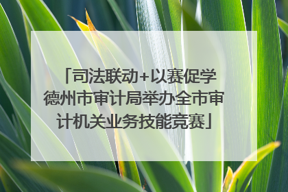 司法联动+以赛促学 德州市审计局举办全市审计机关业务技能竞赛