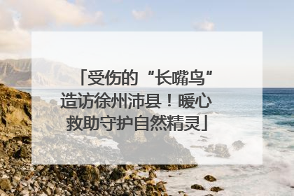 受伤的“长嘴鸟”造访徐州沛县！暖心救助守护自然精灵
