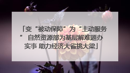 变“被动保障”为“主动服务” 自然资源部为基层解难题办实事 助力经济大省挑大梁