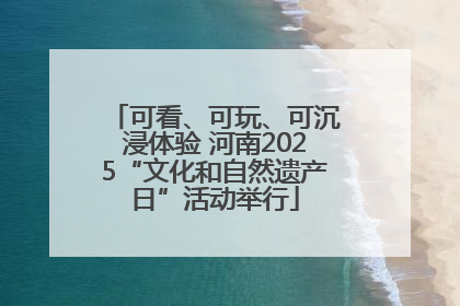 可看、可玩、可沉浸体验 河南2025“文化和自然遗产日”活动举行
