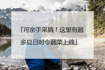 可亲手采摘！这里有超多夏日时令蔬菜上线