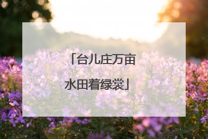 台儿庄万亩水田着绿裳