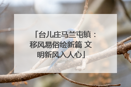 台儿庄马兰屯镇：移风易俗绘新篇 文明新风入人心