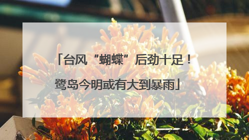 台风“蝴蝶”后劲十足！鹭岛今明或有大到暴雨
