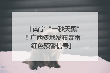 南宁“一秒天黑”！广西多地发布暴雨红色预警信号