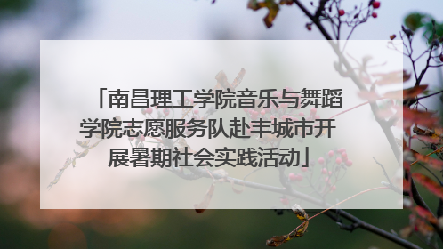 南昌理工学院音乐与舞蹈学院志愿服务队赴丰城市开展暑期社会实践活动