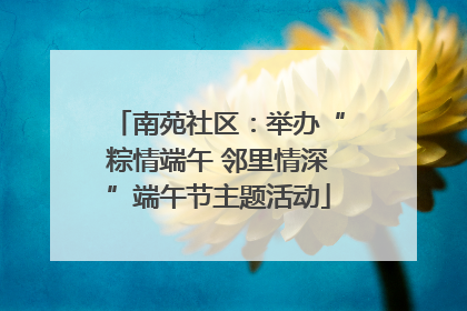 南苑社区：举办“粽情端午 邻里情深”端午节主题活动