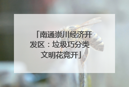 南通崇川经济开发区：垃圾巧分类 文明花竞开