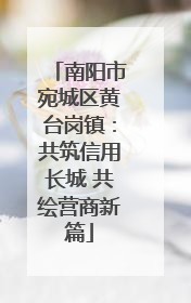 南阳市宛城区黄台岗镇：共筑信用长城 共绘营商新篇