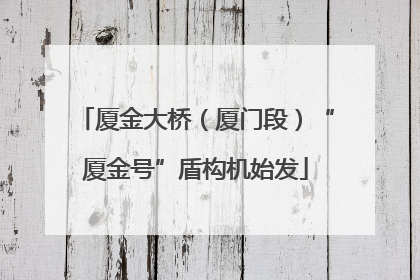 厦金大桥（厦门段）“厦金号”盾构机始发