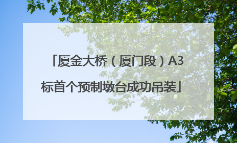 厦金大桥（厦门段）A3标首个预制墩台成功吊装