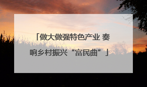 做大做强特色产业 奏响乡村振兴“富民曲”