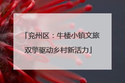 兖州区：牛楼小镇文旅双擎驱动乡村新活力