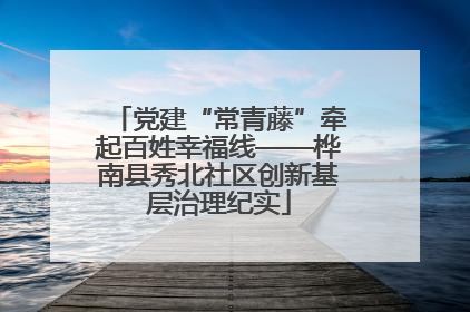 党建“常青藤”牵起百姓幸福线——桦南县秀北社区创新基层治理纪实