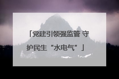 党建引领强监管 守护民生“水电气”