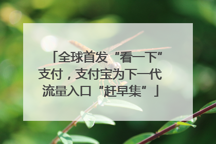 全球首发“看一下”支付，支付宝为下一代流量入口“赶早集”