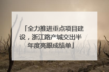 全力推进重点项目建设，浙江路产城交出半年度亮眼成绩单