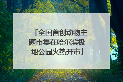 全国首创动物主题市集在哈尔滨极地公园火热开市