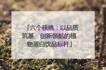 六个核桃：以品质筑基、创新领航的植物蛋白饮品标杆