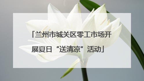 兰州市城关区零工市场开展夏日“送清凉”活动