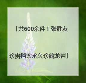 共600余件！张胜友珍贵档案永久珍藏龙岩