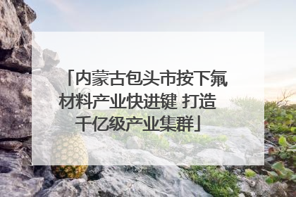 内蒙古包头市按下氟材料产业快进键 打造千亿级产业集群