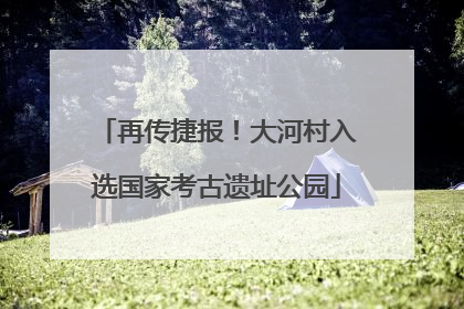 再传捷报！大河村入选国家考古遗址公园