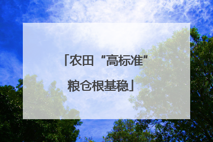 农田“高标准” 粮仓根基稳