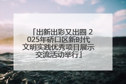 出新出彩又出圈 2025年硚口区新时代文明实践优秀项目展示交流活动举行