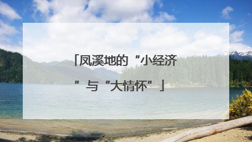 凤溪地的“小经济”与“大情怀”