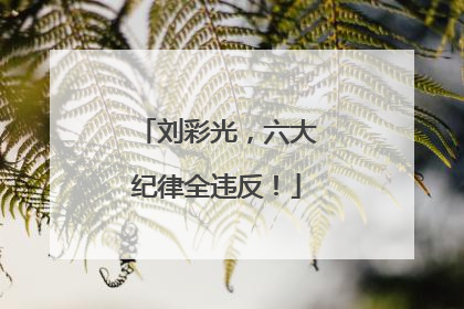 刘彩光，六大纪律全违反！