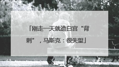 刚走一天就遭白宫“背刺”，马斯克：很失望