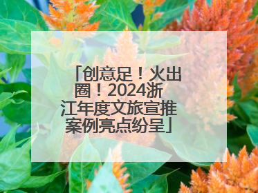 创意足！火出圈！2024浙江年度文旅宣推案例亮点纷呈