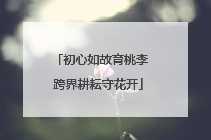 初心如故育桃李 跨界耕耘守花开