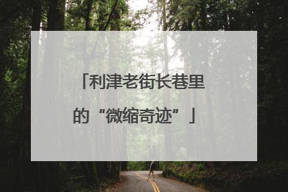 利津老街长巷里的“微缩奇迹”