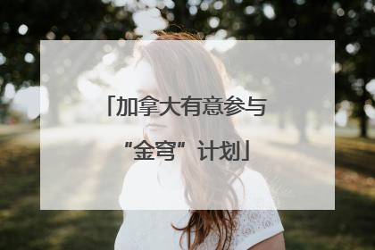 加拿大有意参与“金穹”计划