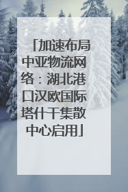 加速布局中亚物流网络：湖北港口汉欧国际塔什干集散中心启用