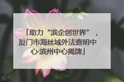 助力“滨企创世界”，厦门市海丝域外法查明中心·滨州中心揭牌