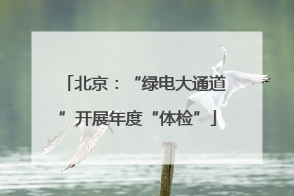 北京：“绿电大通道”开展年度“体检”