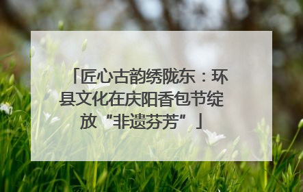 匠心古韵绣陇东：环县文化在庆阳香包节绽放“非遗芬芳”