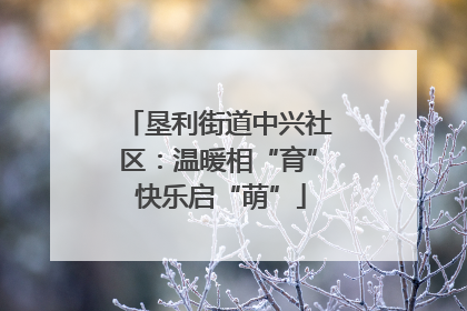 垦利街道中兴社区：温暖相“育” 快乐启“萌”
