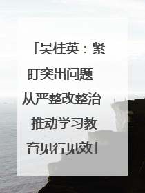吴桂英：紧盯突出问题 从严整改整治 推动学习教育见行见效
