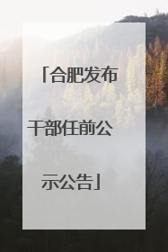 合肥发布干部任前公示公告