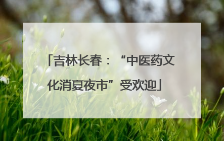 吉林长春：“中医药文化消夏夜市”受欢迎