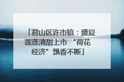 君山区许市镇：盛夏莲蓬清甜上市 “荷花经济”飘香不断